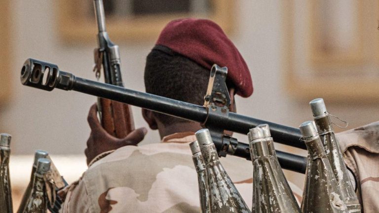 Sudanese RSF militia killed 460 people at el-Fasher hospital, says WHO